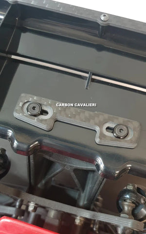 Carbon Cavalieri Universal Wing Washer